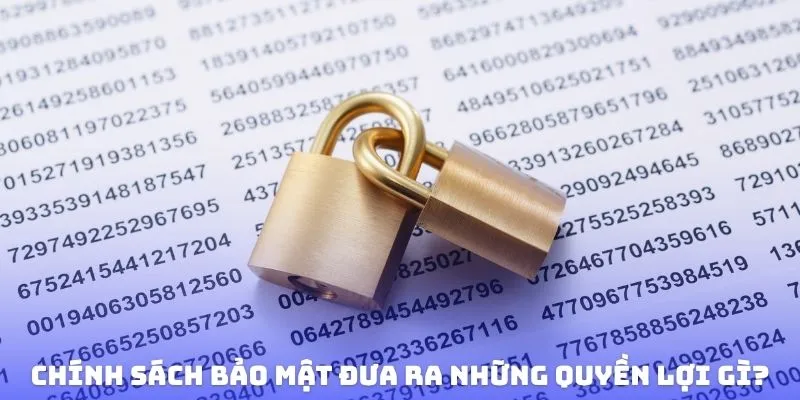 Chính Sách Bảo Mật - Hệ Thống Tường Lửa Đa Lớp Toàn Diện 3 Chính sách bảo mật đưa ra những quyền lợi gì?