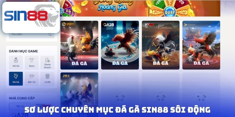 Đá Gà Sin88 - Đấu Trường Chọi Kê Đẳng Cấp Hàng Đầu Châu Á 1 Sơ lược chuyên mục đá gà Sin88 sôi động