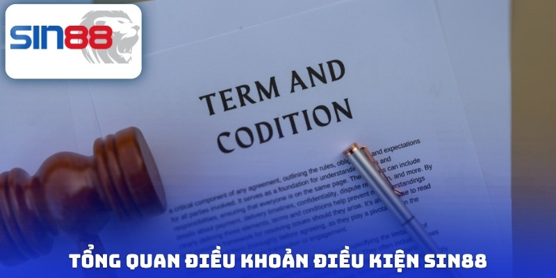 Điều Khoản Điều Kiện: Luật Chơi Ngầm Hội Viên Sin88 Cần Biết 1 Tổng quan điều khoản điều kiện sin88
